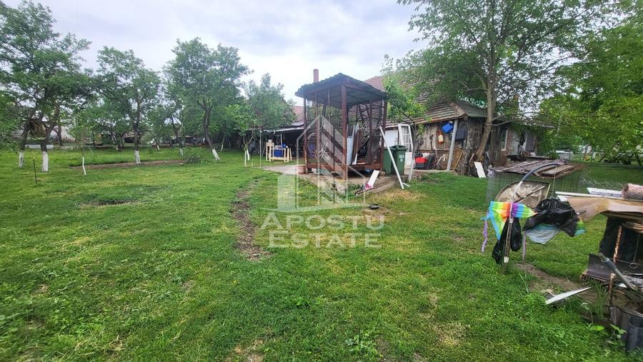 Casa individuala cu 6 camere,2 bai,teren de 1017 mp Pischia Central - 15