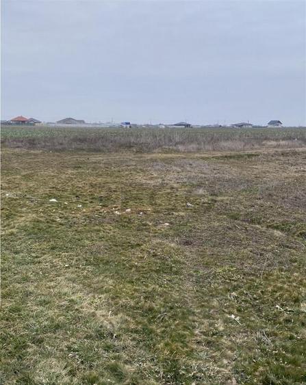 RECO Teren intravilan in Livada de Bihor 1000mp - 2