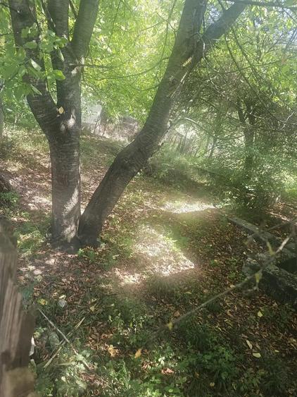 Teren de 1113 mp si casa batraneasca in comuna Mihaesti jude?ul Valcea - 8