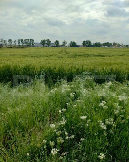 Teren intravilan in spatele Peugeot, 3600mp, 11m deschidere - 2
