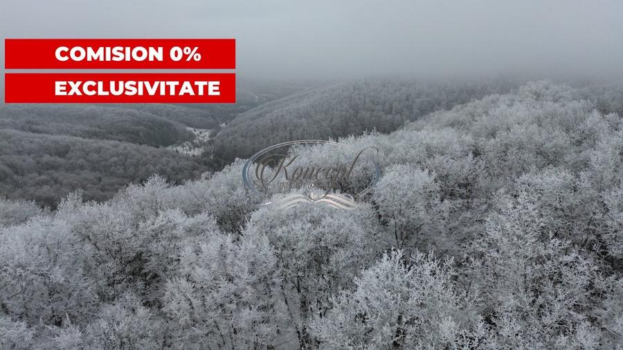 Comision 0% - Casa cu teren generos in Elciu - 7