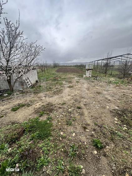 PROIECT CASA si TEREN INTRAVILAN GENEROS - 2