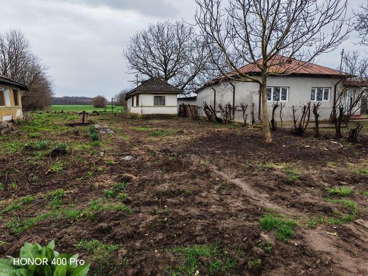 Teren pentru casa 20m deschidere - 4