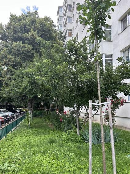 Apartament 2 camere decomandat - 6