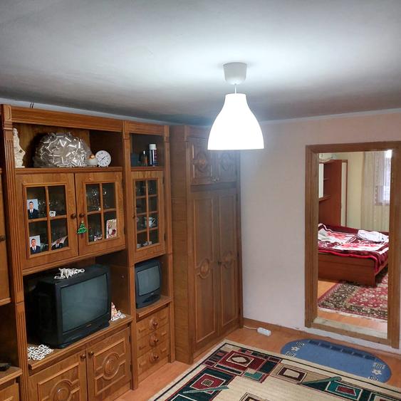 Casa de vanzare Cîmpineanca (2010) - 4