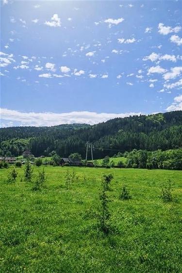Teren cu proiect casa, in vecinatatea padurii Bradet, Sacele, Brasov - 3
