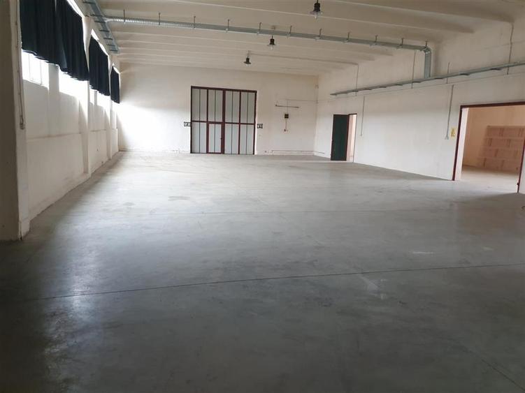 Inchiriez Spatiu industrial Hala  langa A1 spre Timisoara - 10