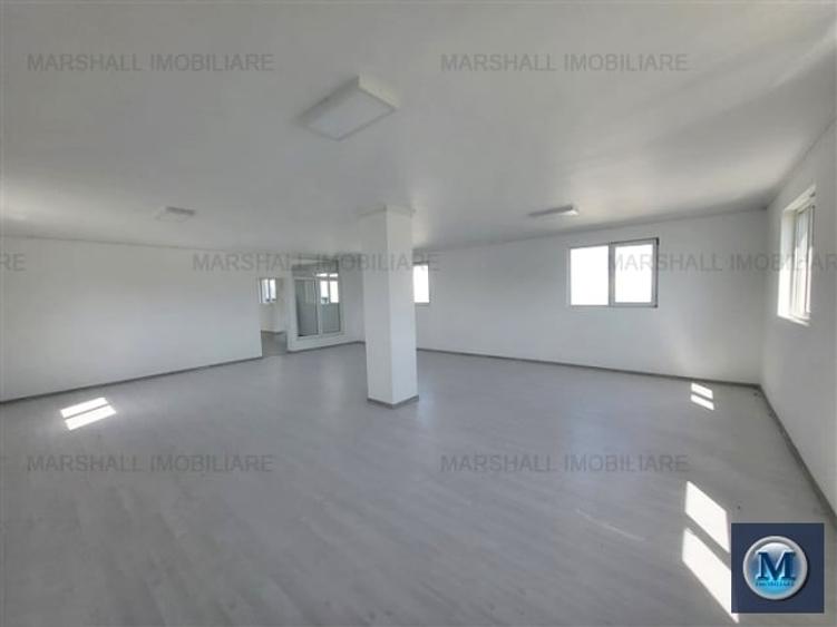 Spatiu industrial de inchiriat, zona Exterior Vest, 1500 mp #16483 - 7