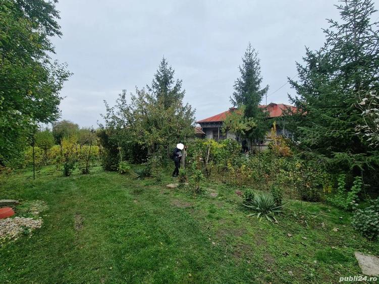 Casa +Teren1300mp[livada+vie] Sat Izvoru Giurgiu - 4