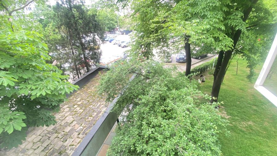 Dristor, Ramnicul Sarat,  Park Lake. - 7