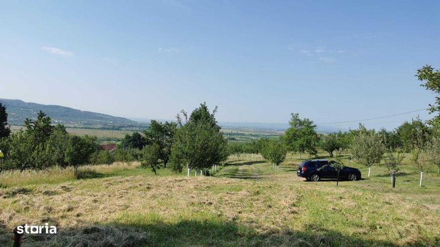 Teren Orasu Nou Vii ,Intravilan 38 Ari , Casa + Livada pomi fructiferi - 4