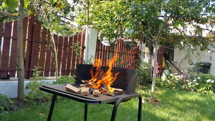 Proprietar, inchiriez Apartament 1 camera spatios la curte + Garaj - 7