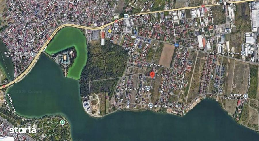 Terenuri de vanzare in Cernica gata pentru construc?ie! - 3