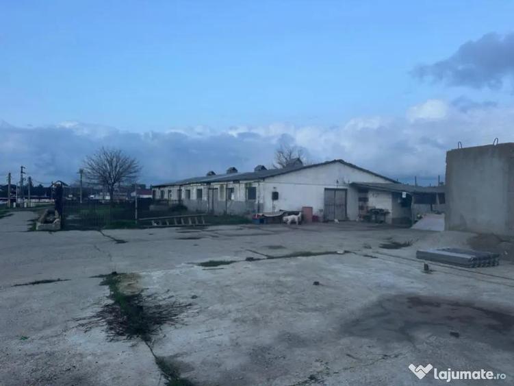 Teren intravilan industrial - 10