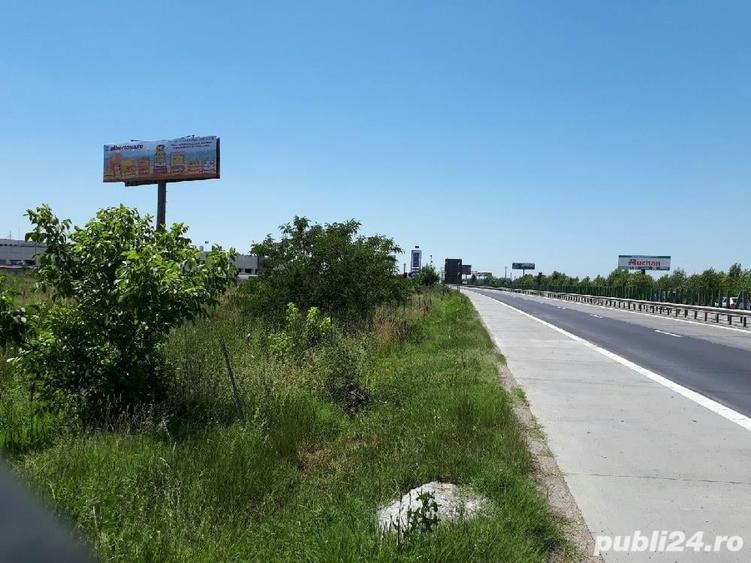 Teren de 5000 mp, în Manolache