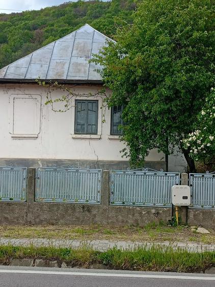 Casă cu Teren 85 Mp în Bujoreni
