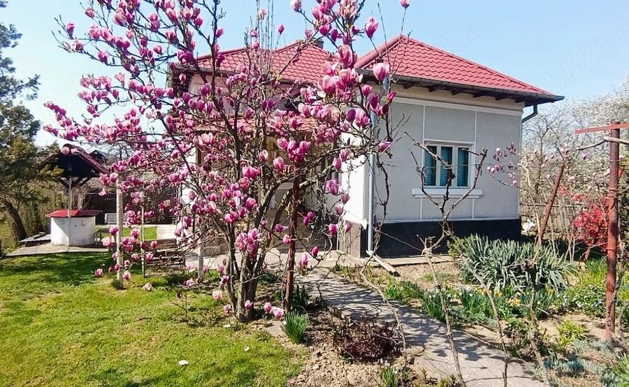 Casă cu 3 camere cu Teren 2850 Mp în Băiculești
