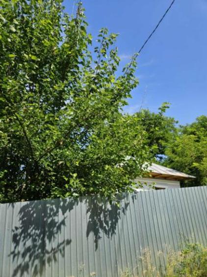 Casa de vanzare  - 3