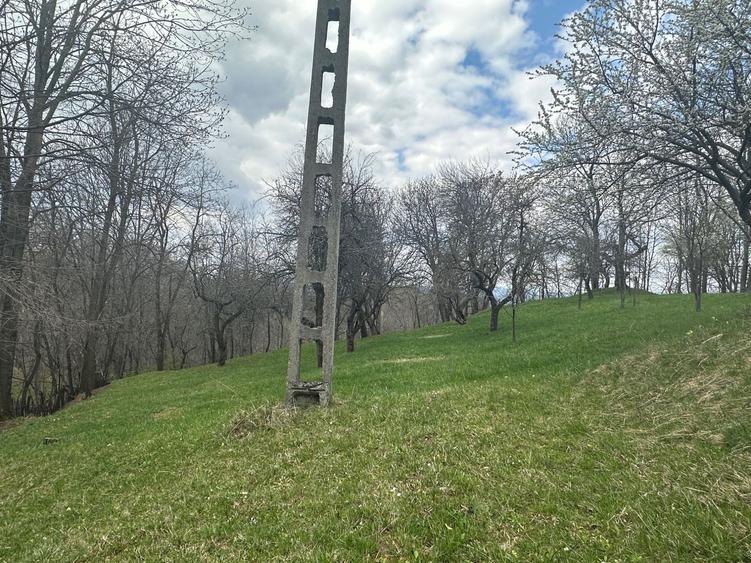 Teren de vanzare comuna Sotrile - 5