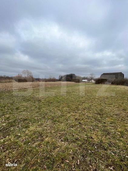Teren intravilan 5775 mp- Galanesti - 4