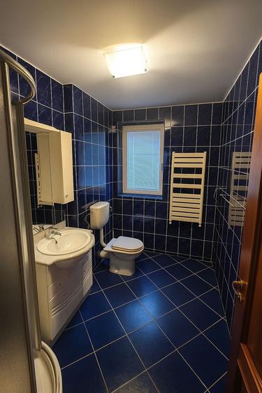 VILA CU PONTON LA LAC, PISCINA IDEALA PENTRU AFACERE sau LOCUIT - 21