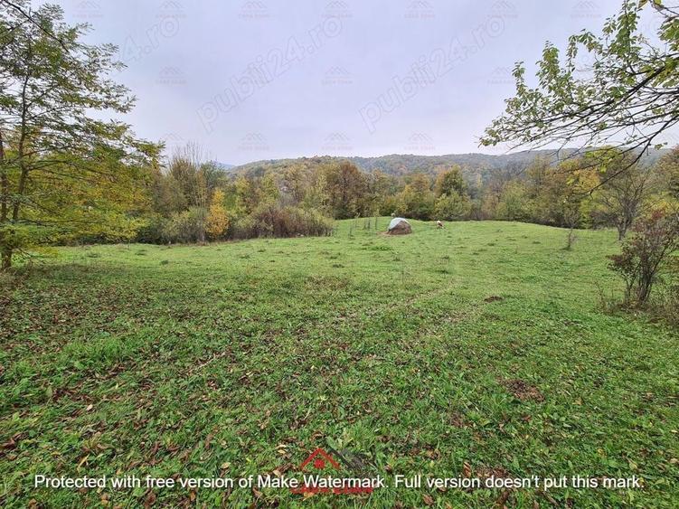 Teren intravilan in Provita de Jos 14.340 mp-- 90.000 e - 9