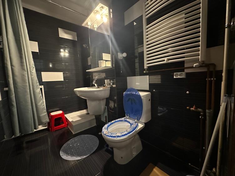 Apartament 1 camera decomandat parter cu balcon amenajat centrala Aradului - 10