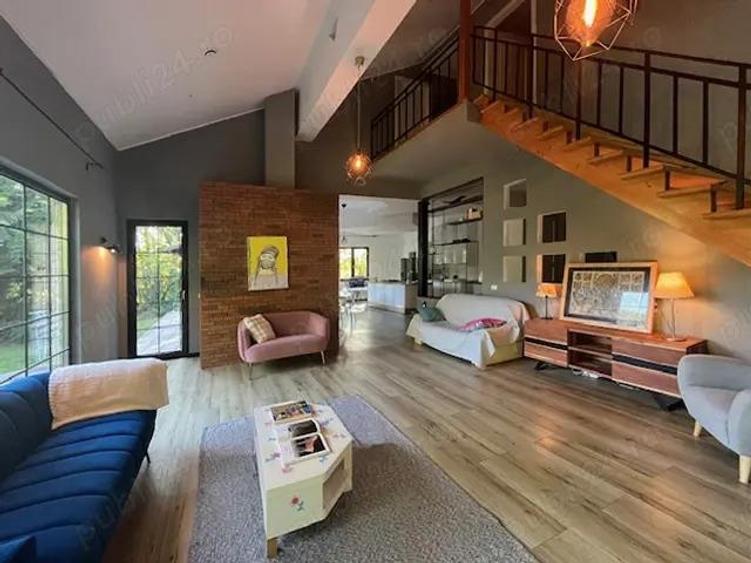 Vila unica pe malul lacului Scrovistea - 4