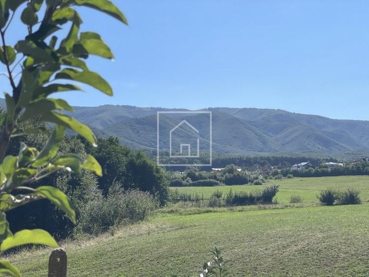 Teren 829 mp autorizatie de constructie 4 cabanute A-frame in Tocile - 3