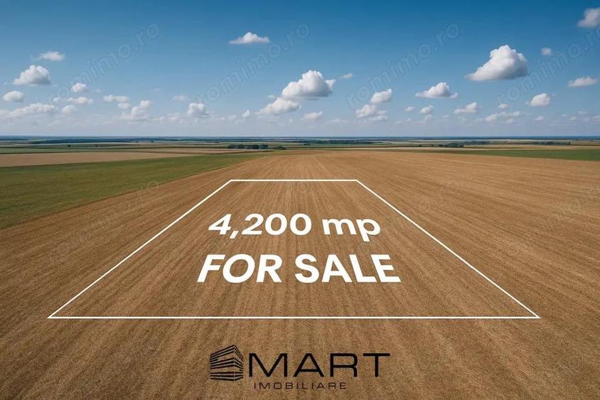 Teren extravilan 4200mp Daia Romana - Alba - 1