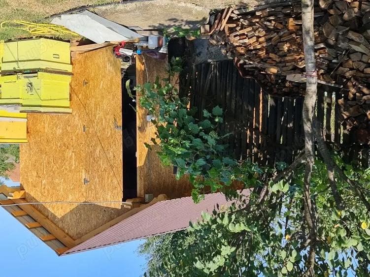 Vand casa, curte si gradina cu magazie - 8