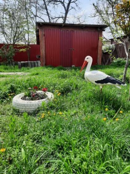 Vând casă  / curte  - 7