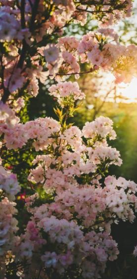 Constanta- teren intravilan - 2