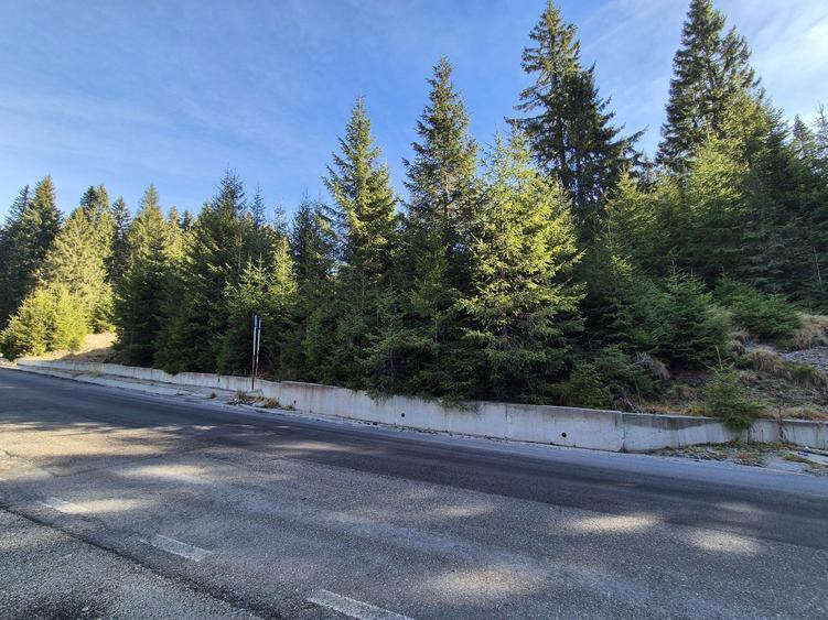 Teren Dichiu Transbucegi - 1