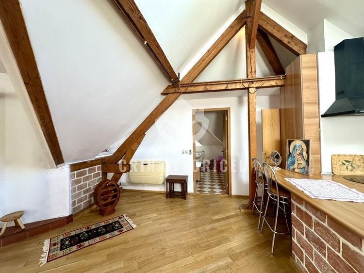 Vanzare mansarda 3 camere - str Serg.Maj.Ancuta Ilie - zona Parcul Carol - 7