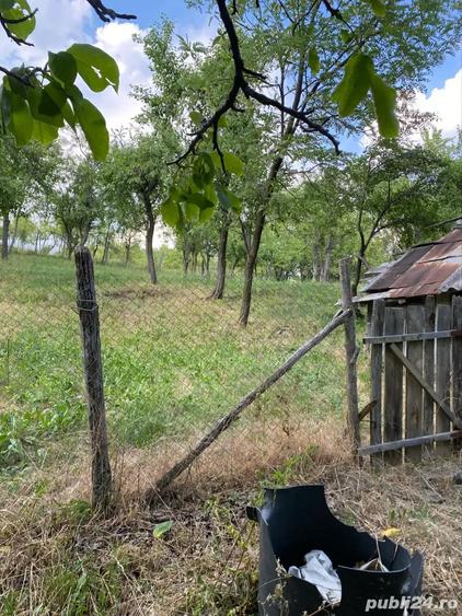 Vand casa Batraneasca - 1