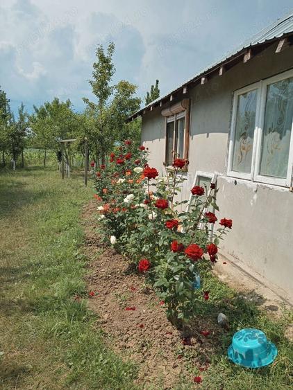 Vand casa cu teren 1500 mp intimitate totala Comuna Berceni, sat Catunu (Prahova) - 1