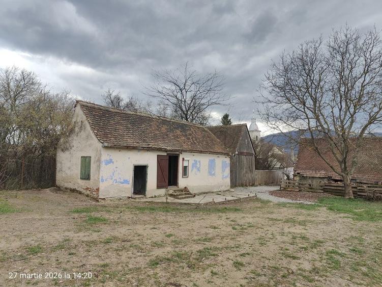 Casa cu livada / Teren intravilan / Sacel - 1400 mp Pozitie centrala - 5