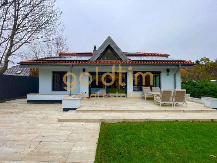 UNICA/ABSOLUT SUPERBA/ VILA INDIVIDUALA/IANCU NICOLAE/CURTE GENEROASA - 97