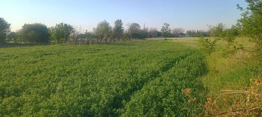 Oaza de liniste la 15 min de A3 Teren 3200mp, utilitati functionale, Merii Petchii - 5