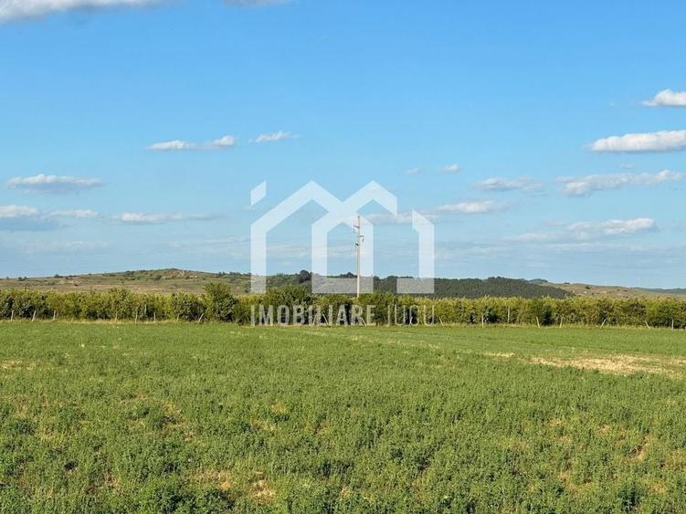 Teren INT construcție duplex / case cuplate 1503 mp - Jucu de Sus - 2