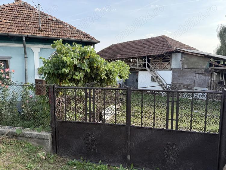 Vand Casa Batraneasca + Teren 1754 mp Com. Malureni Sat Bune?ti Arge? - 8