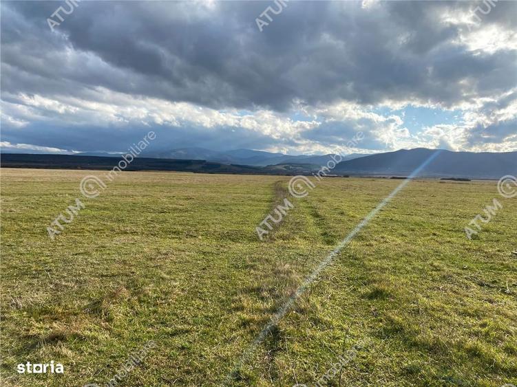 Teren de vanzare 564 mp in Sibiu pretabil investitie - 5