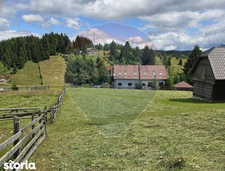 Teren de vis in Fundata 1934mp sau 3868mp, la inal?imea sufletului tau - 8