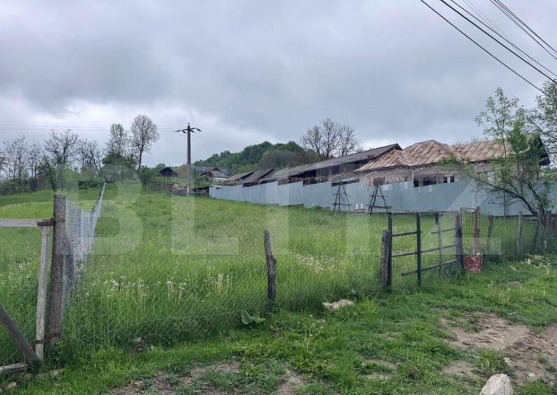 Teren de Vanzare in Bezdead - 3