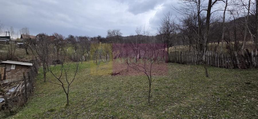 Teren intravilan 800 mp de vanzare in Lunca Mare - 1