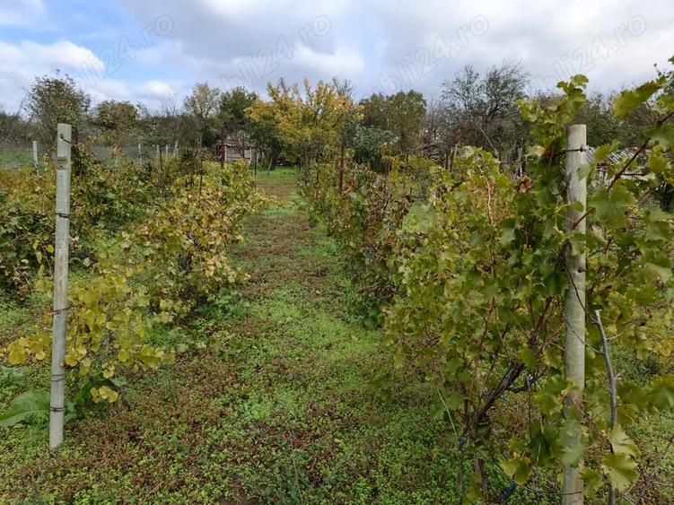 Casa Tudor Vladimirescu Galati - 3