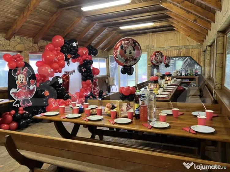 CABANA DACICA Refugiu premium la poalele Mun?ilor Dacici - 6