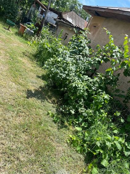 Casă cu Teren 3600 Mp în Coada Izvorului