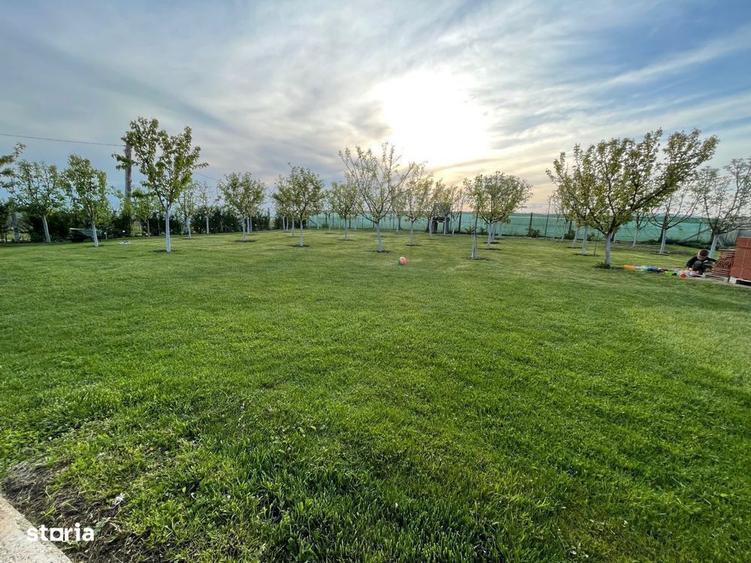 Cabana de lemn, 2 camere, teren 850 mp, livada, Oarda, Alba Iulia - 5